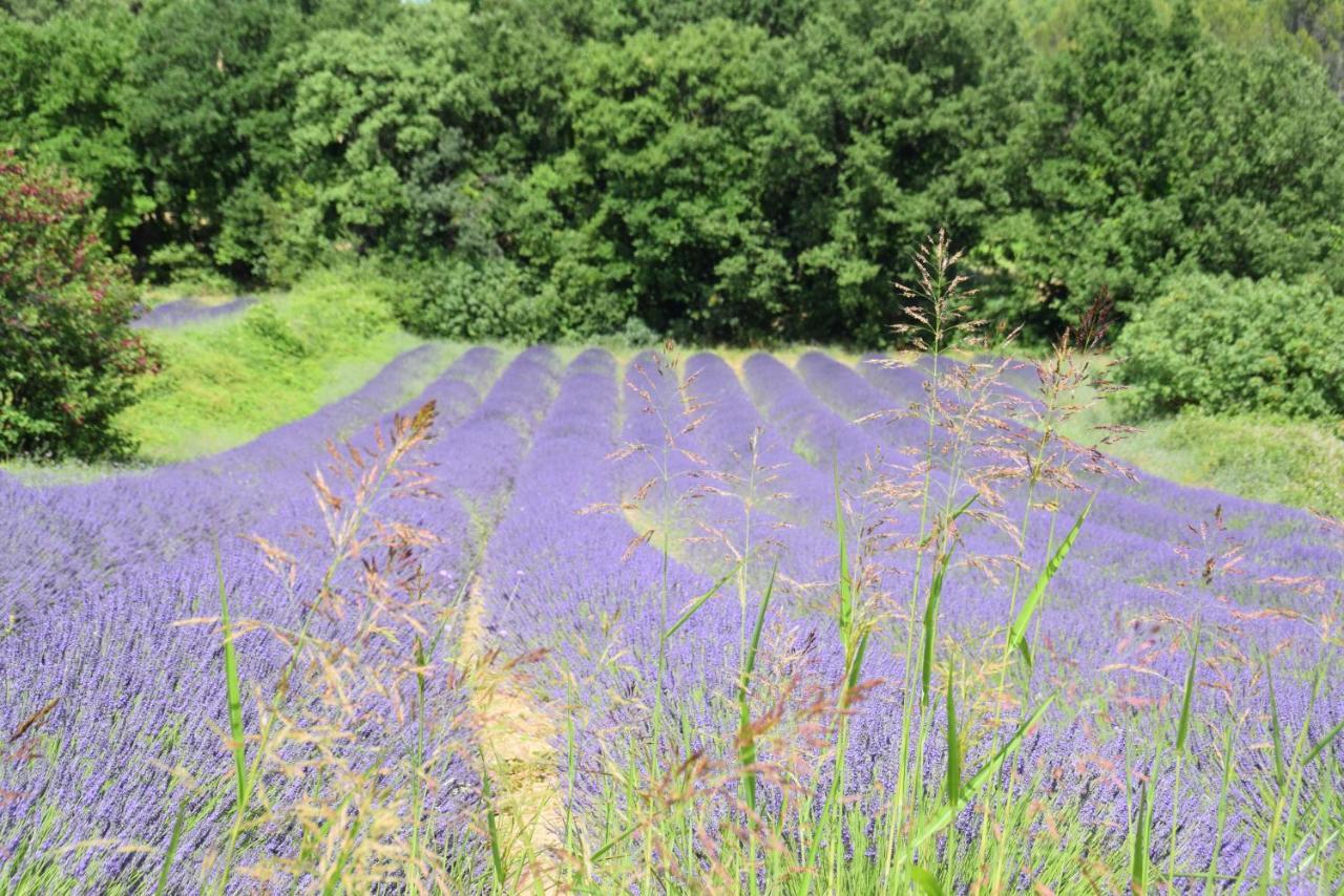 Gite Les Tilleuls Villa Saint-Montan Kültér fotó